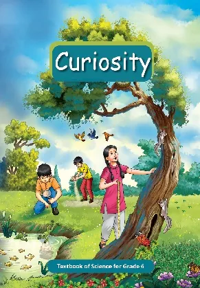 NCERT Science textbook for class 6: Curiosity